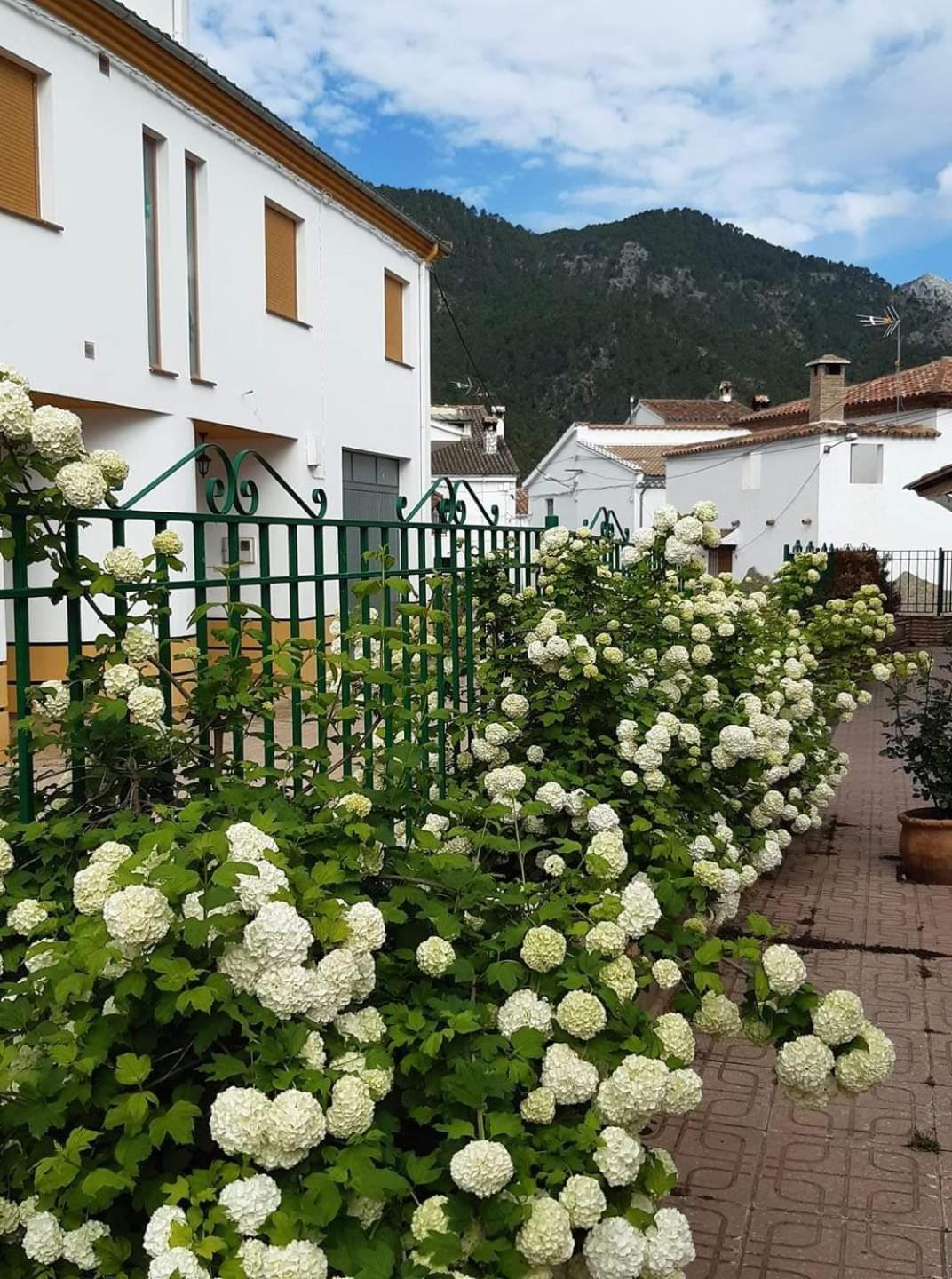 Albergue Ruta Rio Borosa Coto Rios Eksteriør billede